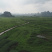 贵港覃塘区2000亩适合种植坚果的旱地出租