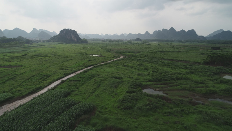 贵港覃塘区2000亩适合种植坚果的旱地出租