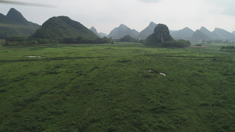 贵港覃塘区2000亩适合种植坚果的旱地出租