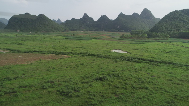 贵港覃塘区2000亩适合种植坚果的旱地出租