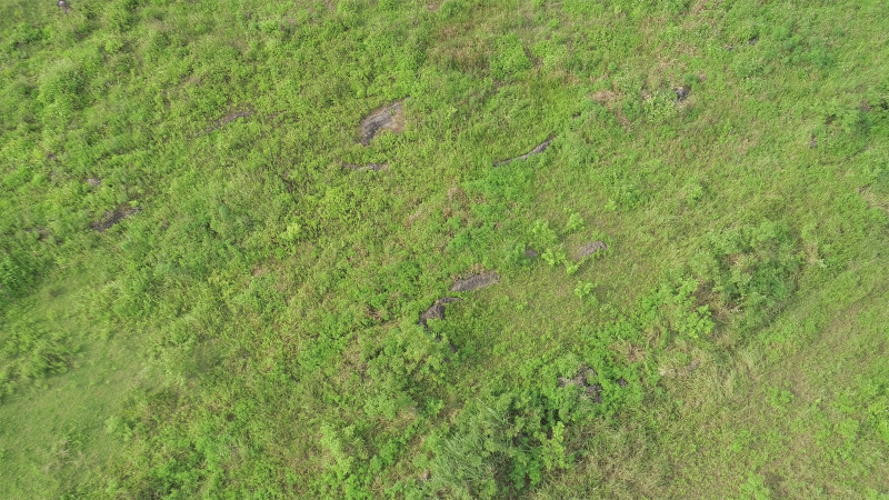 贵港覃塘区2000亩适合种植坚果的旱地出租