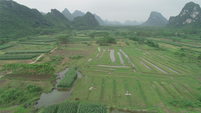 广西南宁280亩旱地出租