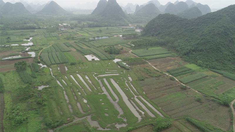广西南宁280亩旱地出租