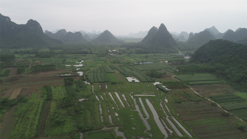 广西贵港170亩可种植果树的旱地出租