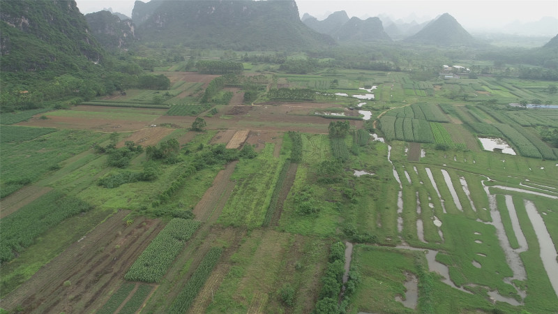 广西贵港170亩可种植果树的旱地出租