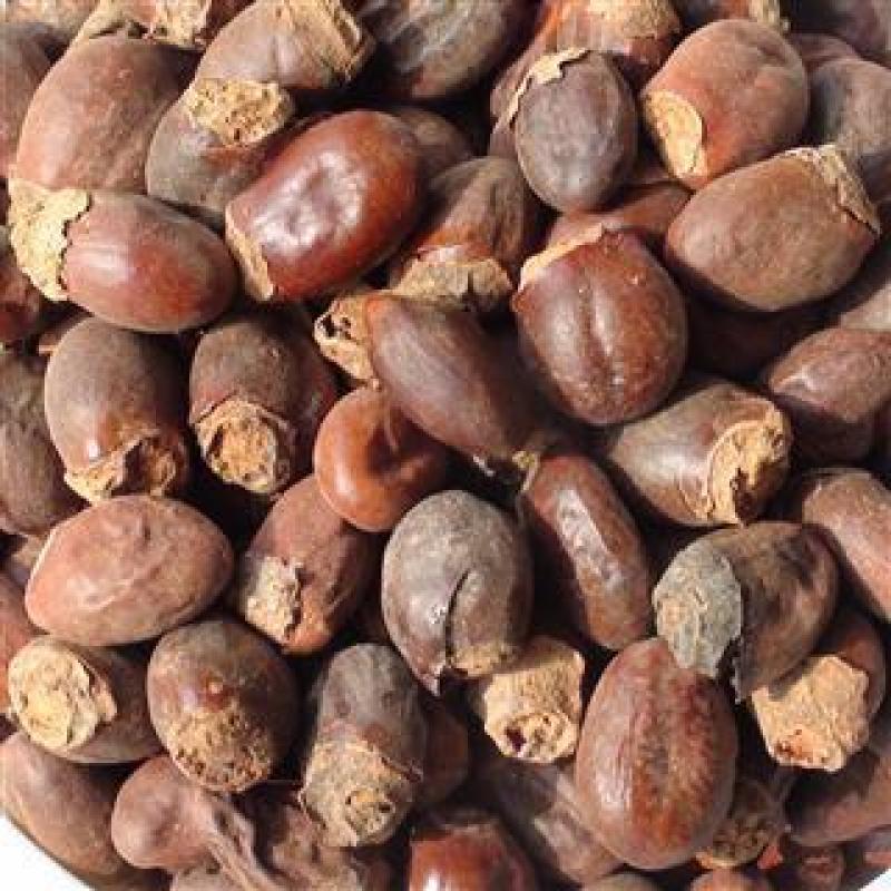 【荔枝核】@【同欢药材】中药材批发供应规格齐全
