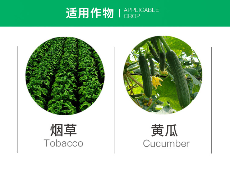 先正达亮泰氯虫苯甲酰胺小菜蛾水稻卷叶螟杀虫剂进口药