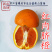 红肉脐橙苗湖北秭归卡拉卡拉橙子苗红心橙子树苗血橙苗