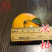 沃柑苗098091无核金诺澳桔无核沃柑苗沃柑树苗