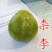 黄金奈李苗黄金奈李子苗奈李树苗油奈青奈黄金李苗