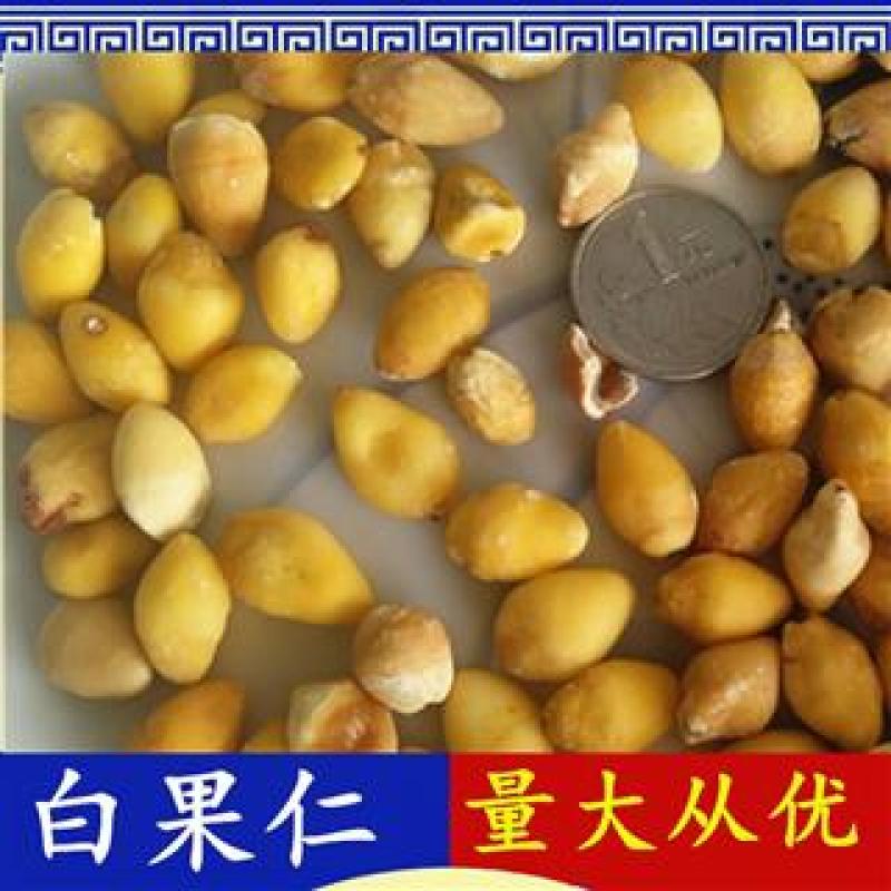 白果仁