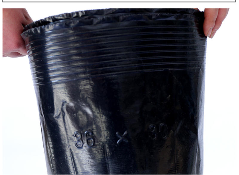 营养钵树苗种植营养袋育苗钵营养杯黑色塑料软花盆简易加厚