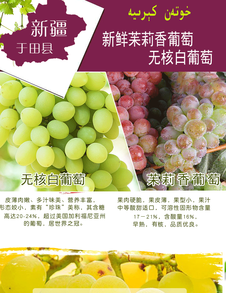 新疆新鲜苿莉香葡萄无核白葡萄5斤有核和田葡萄提子红提
