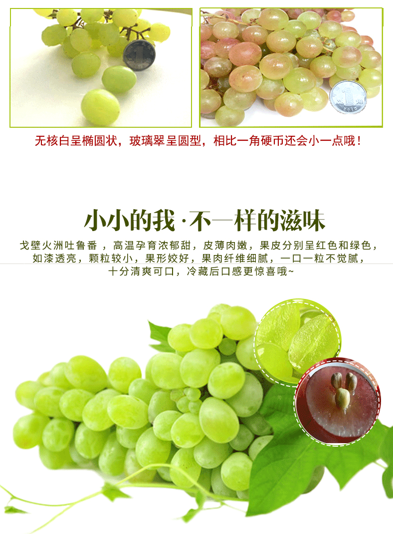 新疆新鲜苿莉香葡萄无核白葡萄5斤有核和田葡萄提子红提