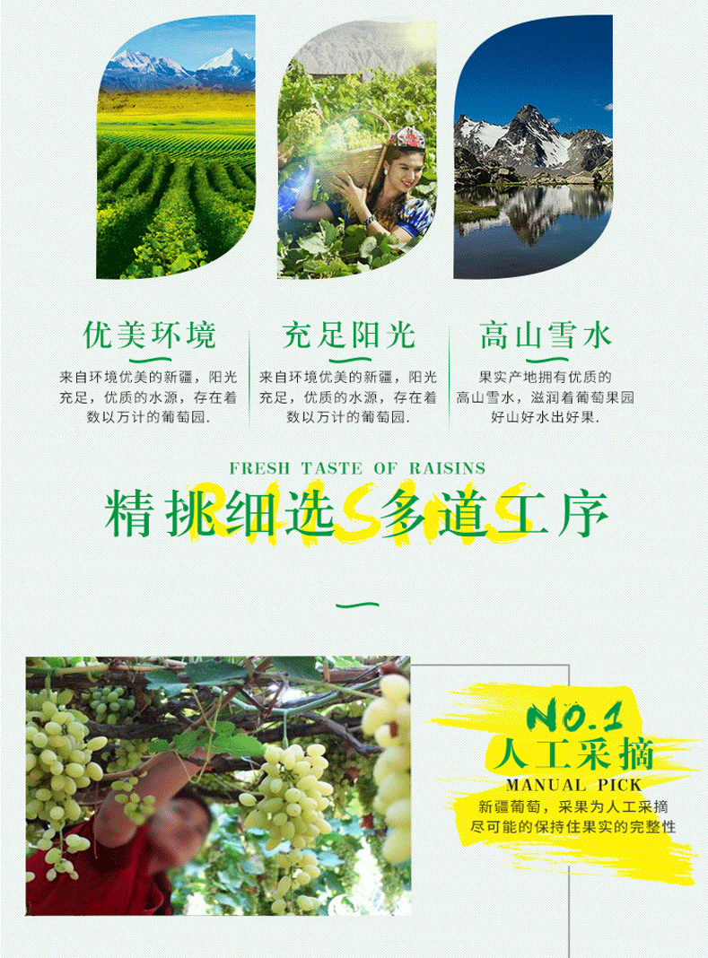 新疆新鲜苿莉香葡萄无核白葡萄5斤有核和田葡萄提子红提