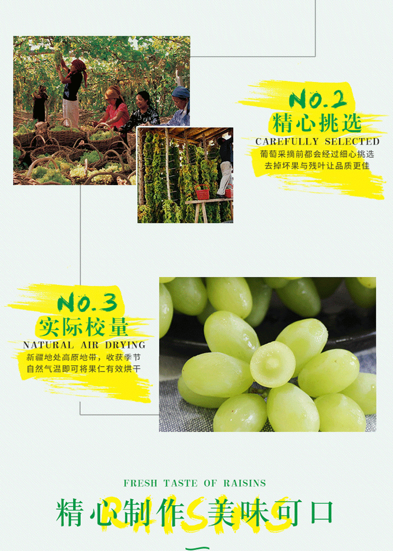 新疆新鲜苿莉香葡萄无核白葡萄5斤有核和田葡萄提子红提
