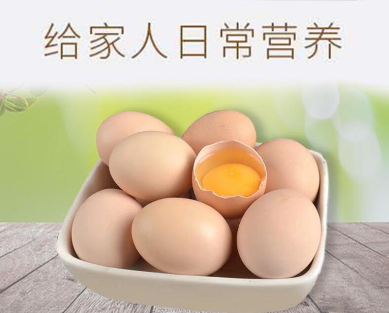 桃源农村土鲜鸡蛋