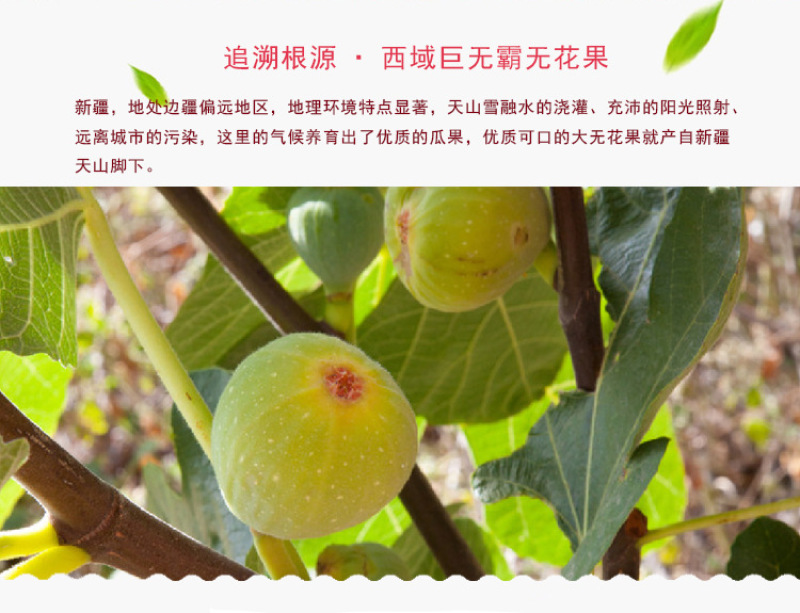 新疆特产特大无花果干果无添加500g零食香甜软糯休闲零食