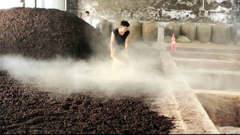 酒大伯酒业专业批发四川高粱酒广东米酒寻找代销店欢迎加盟