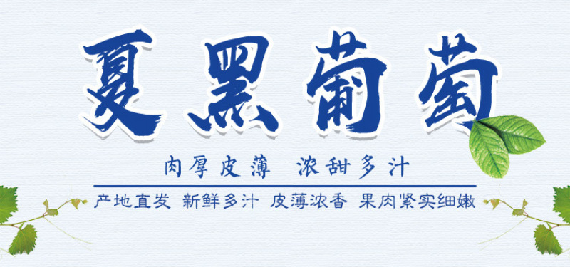 云南新鲜夏黑葡萄无籽黑提孕妇水果5斤峰阳光玫瑰