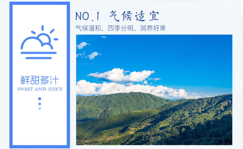 云南新鲜夏黑葡萄无籽黑提孕妇水果5斤峰阳光玫瑰