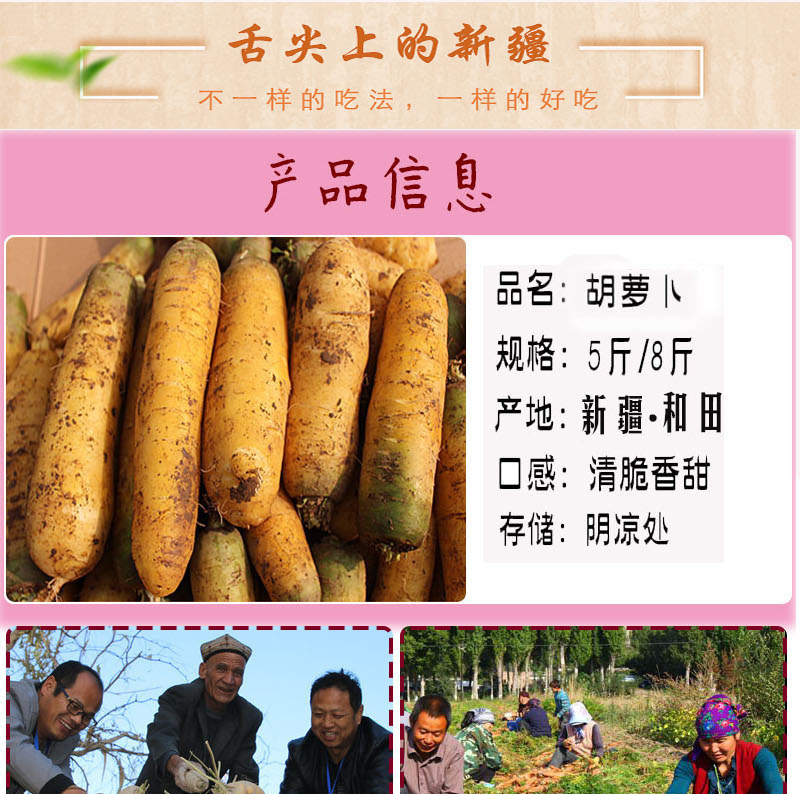 新疆特产黄萝卜5斤装抓饭专用胡萝卜新鲜蔬菜黄萝卜