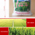 新疆天山面粉5kg/10斤/袋特一粉小麦拉面必备