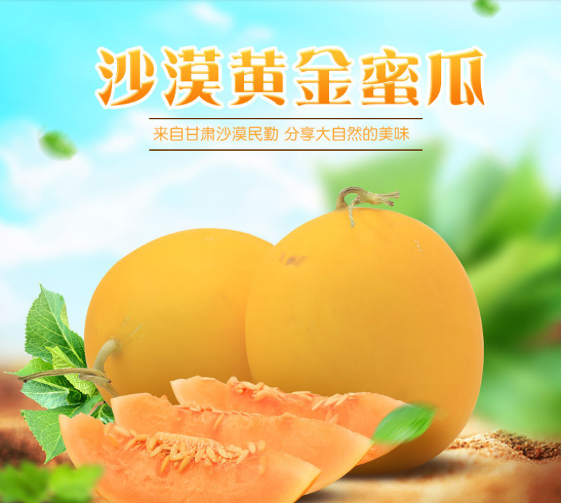 【现货10斤】民勤金红宝黄金蜜瓜沙漠特产哈密瓜应季鲜水果