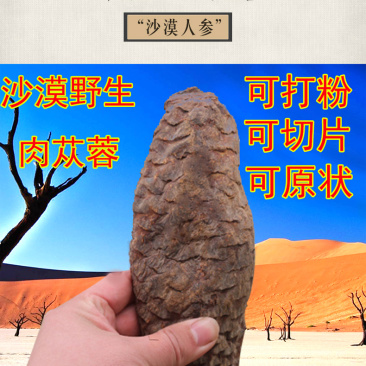 肉苁蓉新疆阿拉善油野生肉苁蓉泡水泡酒男性滋补500克