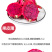 海南红心火龙果带箱5斤新鲜水果8个金都一号红肉