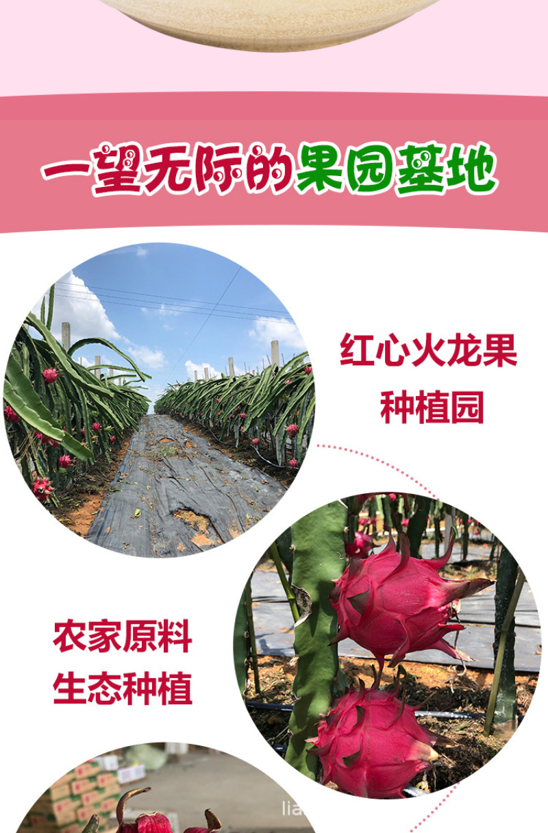 海南红心火龙果带箱5斤新鲜水果8个金都一号红肉
