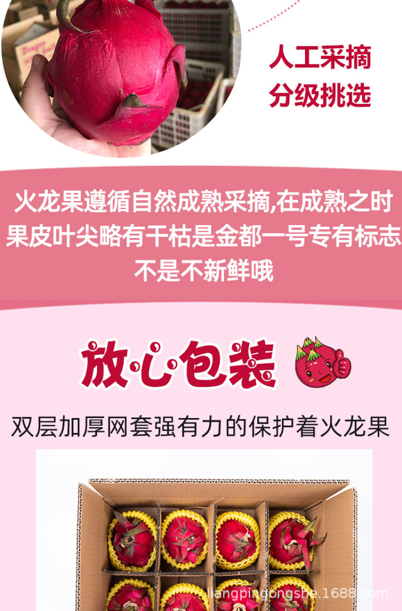 海南红心火龙果带箱5斤新鲜水果8个金都一号红肉