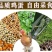 散养土鸡蛋40粒装（40g-50g）破损包赔一件代发
