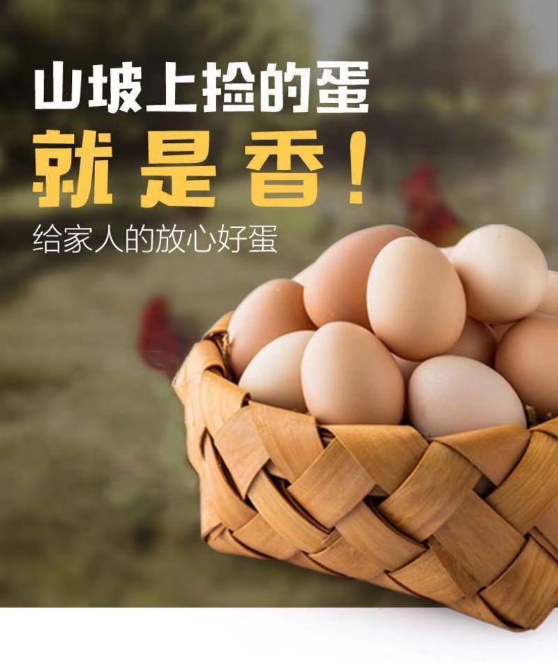 散养土鸡蛋40粒装（40g-50g）破损包赔一件代发