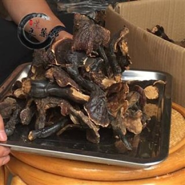 灵芝金边野灵芝,产地直供道地药材新货药味重