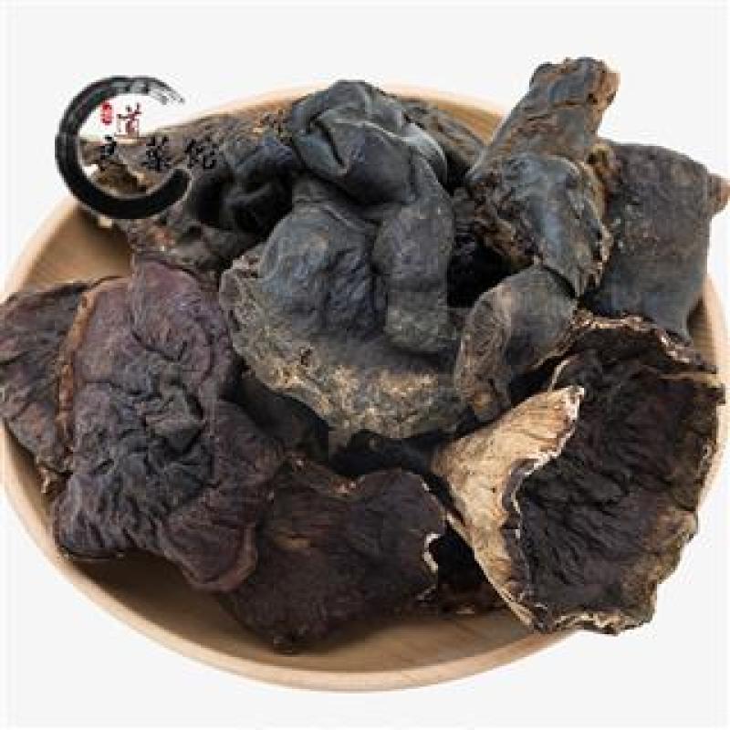 灵芝金边野灵芝，产地直供道地药材新货药味重