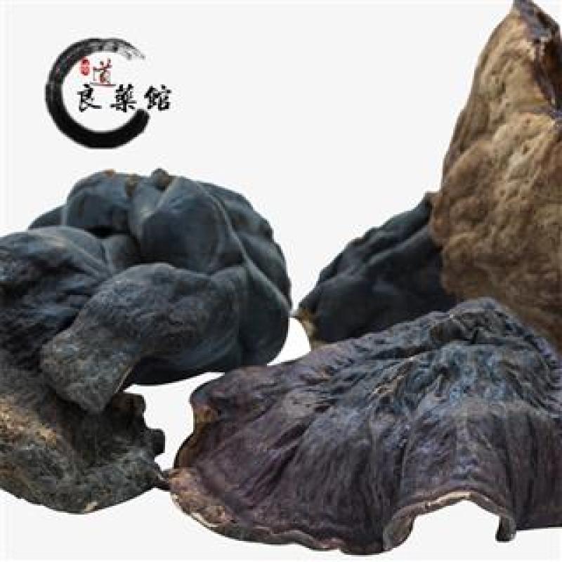 灵芝金边野灵芝，产地直供道地药材新货药味重