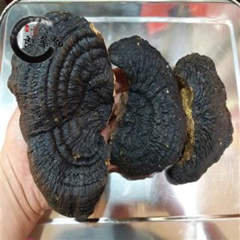 灵芝野生薄树芝野生灵芝薄盖灵芝药典标准地道良药馆
