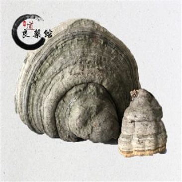 灵芝木蹄层孔菌灵芝,产地直供道地药材,无硫磺***剂