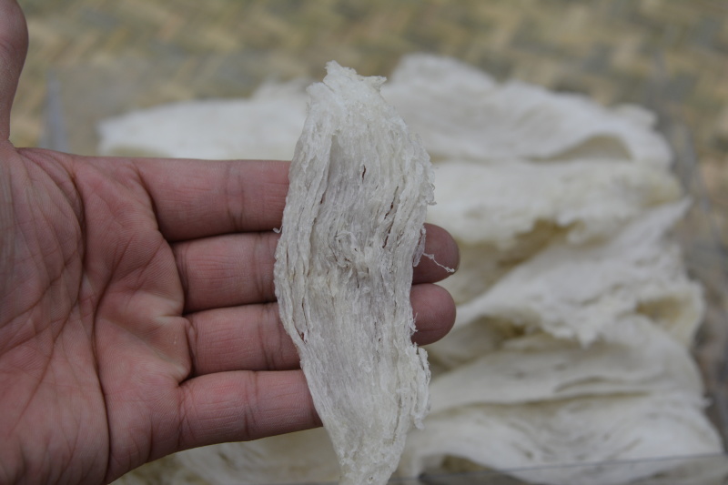 燕窝，燕条燕碎，5A66A疏盏，密盏50克起