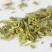 伸筋草舒筋草大伸筋