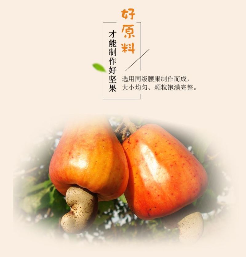 炭烤腰果含罐重500克带面粉腰果招代理一件代发