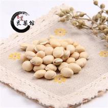 白扁豆,产地直供，道地药材，品质保证，药典标准