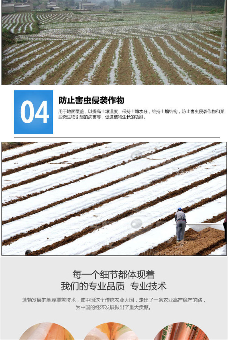 农用塑料薄膜黑白色透明加厚除草地膜蔬菜保鲜保温树苗