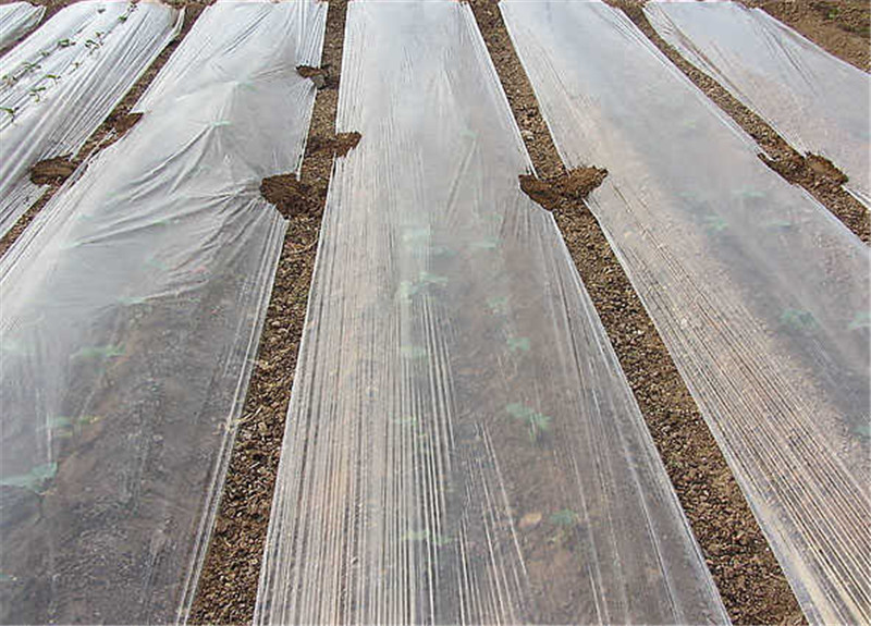 农用塑料薄膜黑白色透明加厚除草地膜蔬菜保鲜保温树苗