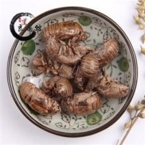 蝉蜕，产地直供，道地药材药典标准，质优价实，品质保