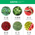 美国杜邦普尊5%氯虫苯甲酰胺小菜蛾杀虫剂
