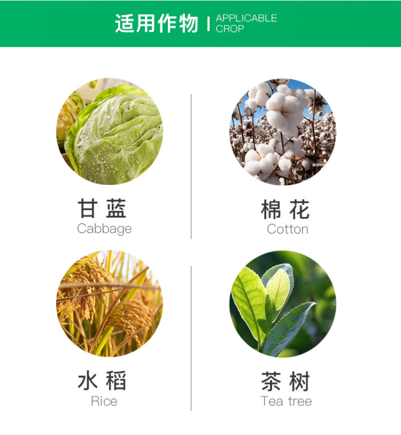 凯恩茚虫威夜蛾青虫卷叶螟吊丝虫杀虫剂