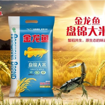 金龙鱼东北盘锦大米5kg新米10斤装