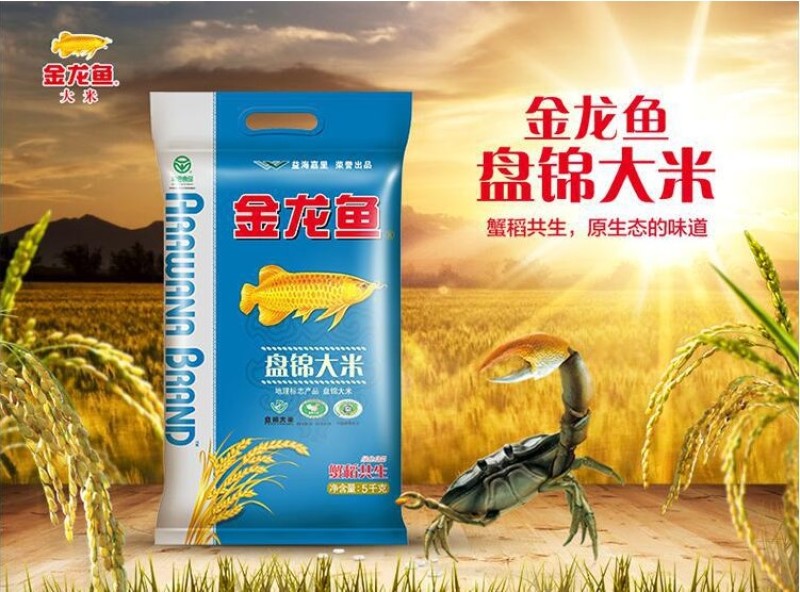 金龙鱼东北盘锦大米5kg新米10斤装